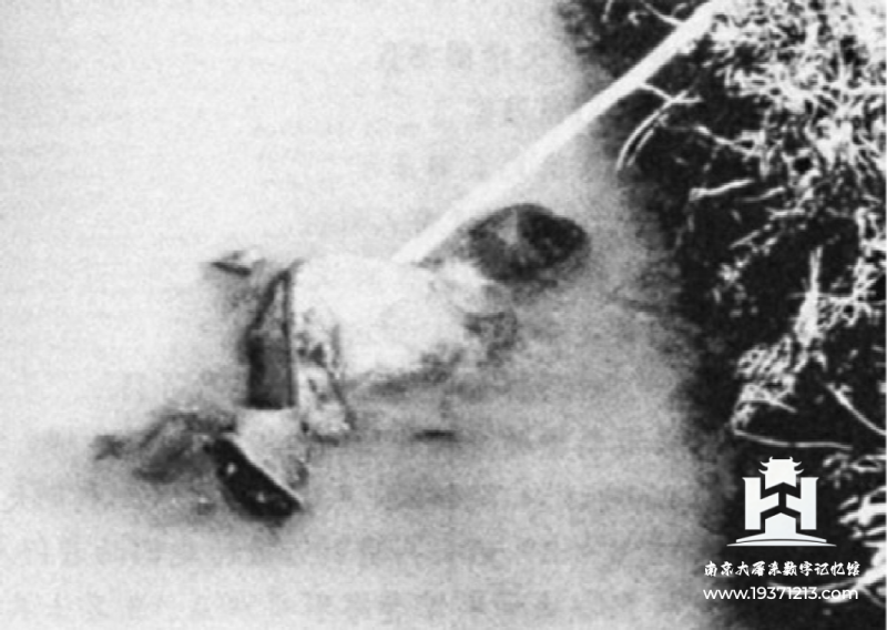 南京大屠杀真实图料集（持续更新中） 图11