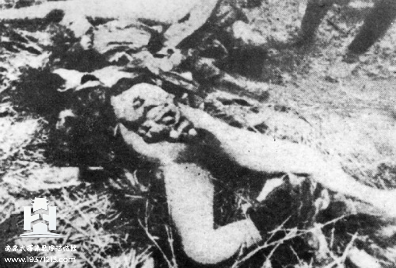 南京大屠杀真实图料集（持续更新中） 图9