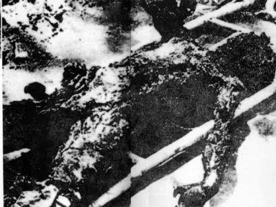 南京大屠杀图片---- 中国人永远的痛