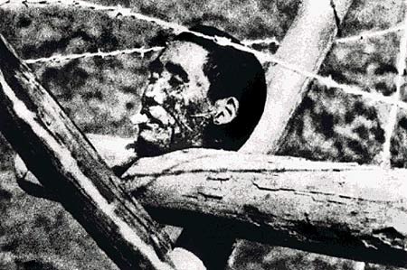 日军砍下南京人的头颅挂在铁丝网上