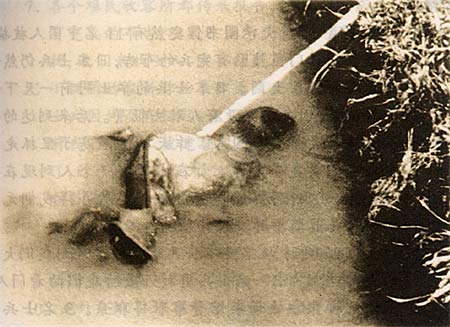 中国士兵遭杀害后又被日军扔进水塘