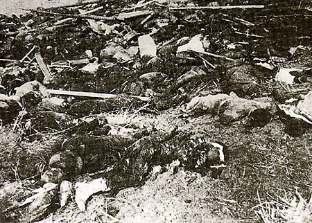 南京市民惨遭日军杀害并被焚尸